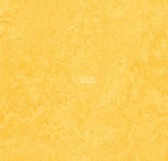 Marmoleum Modular t3251 lemon zest фото 1 | FLOORDEALER